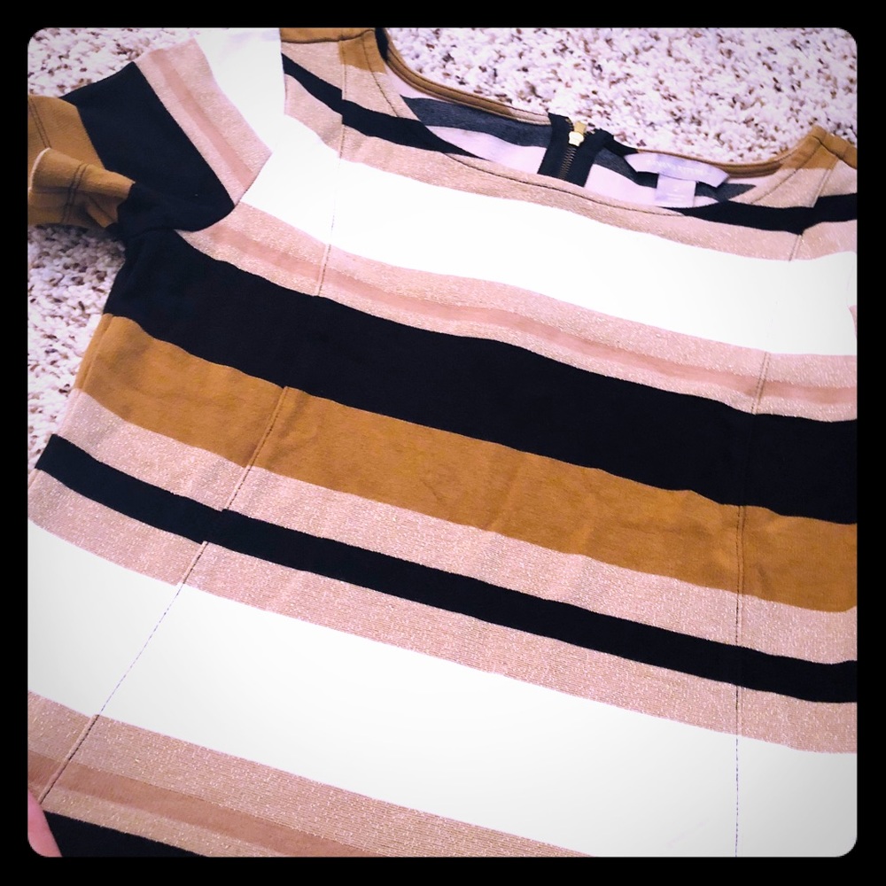 Banana Republic Striped Blouse, Metallic Shimmer 2